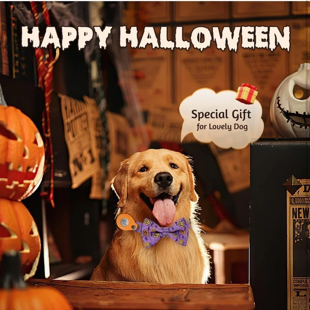 Halloween AirTag Dog Collar, Fashion Dog Collar for Small dog